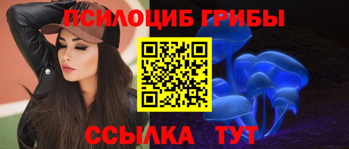 Псилоцибиновые грибы прущие грибы Северобайкальск